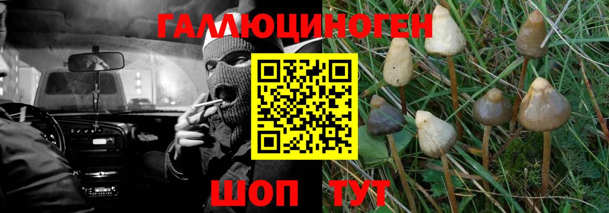 Галлюциногенные грибы мицелий Фурманов