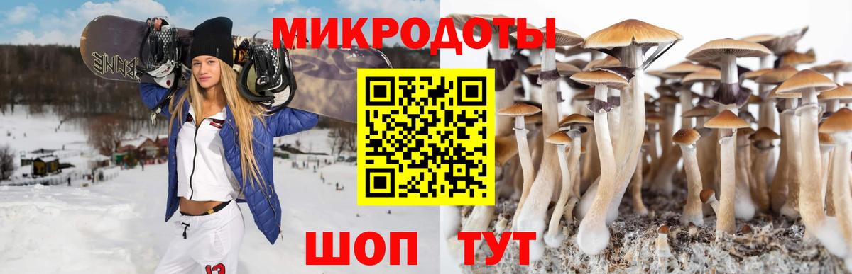 Псилоцибиновые грибы Psilocybine cubensis  Вход с VPN  Фурманов 